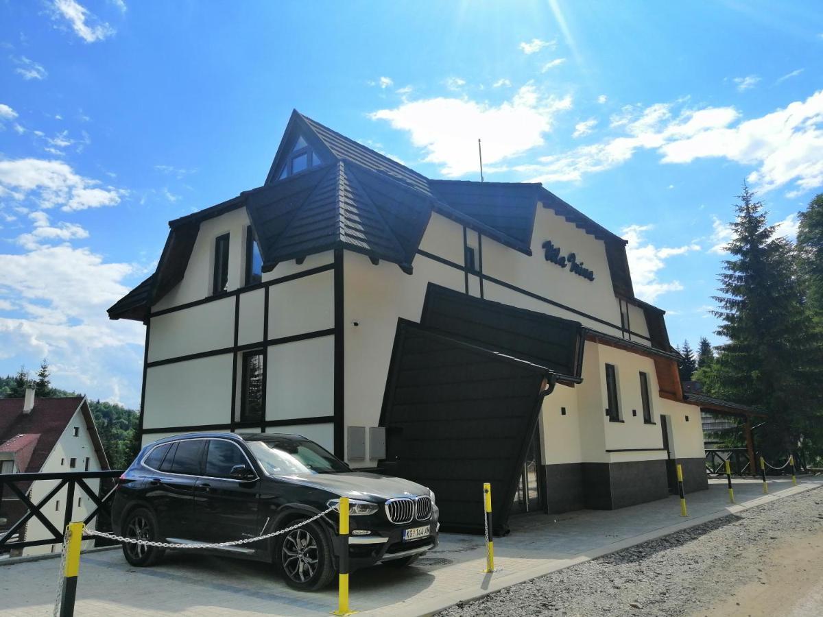 Vila Irina Kopaonik - Apartman Jovana Exterior photo