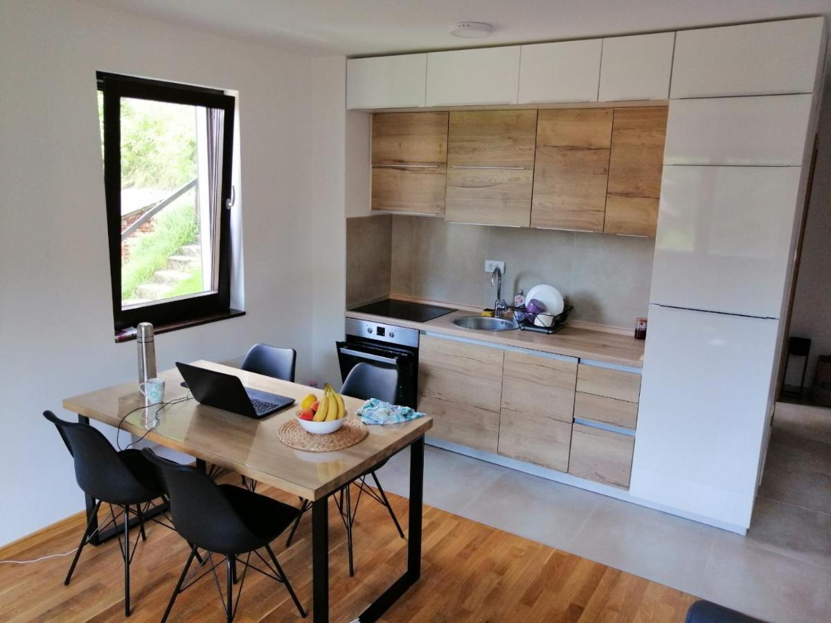 Vila Irina Kopaonik - Apartman Jovana Exterior photo