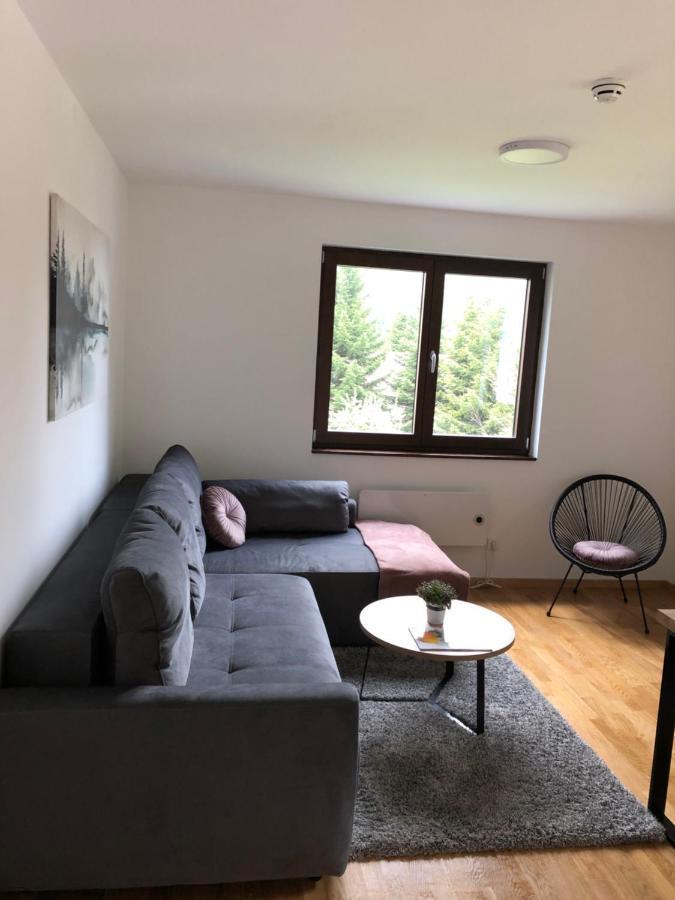 Vila Irina Kopaonik - Apartman Jovana Exterior photo