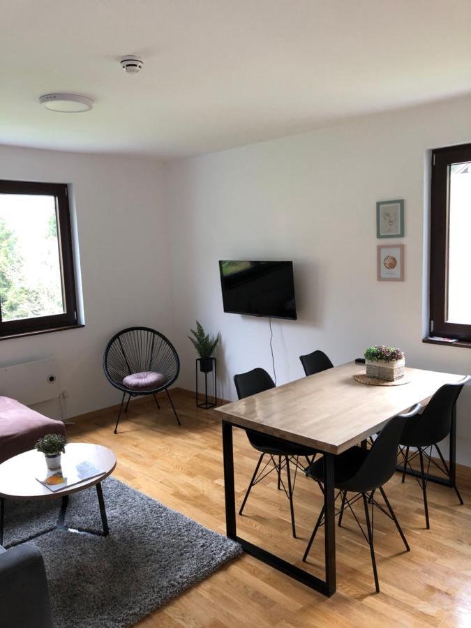 Vila Irina Kopaonik - Apartman Jovana Exterior photo