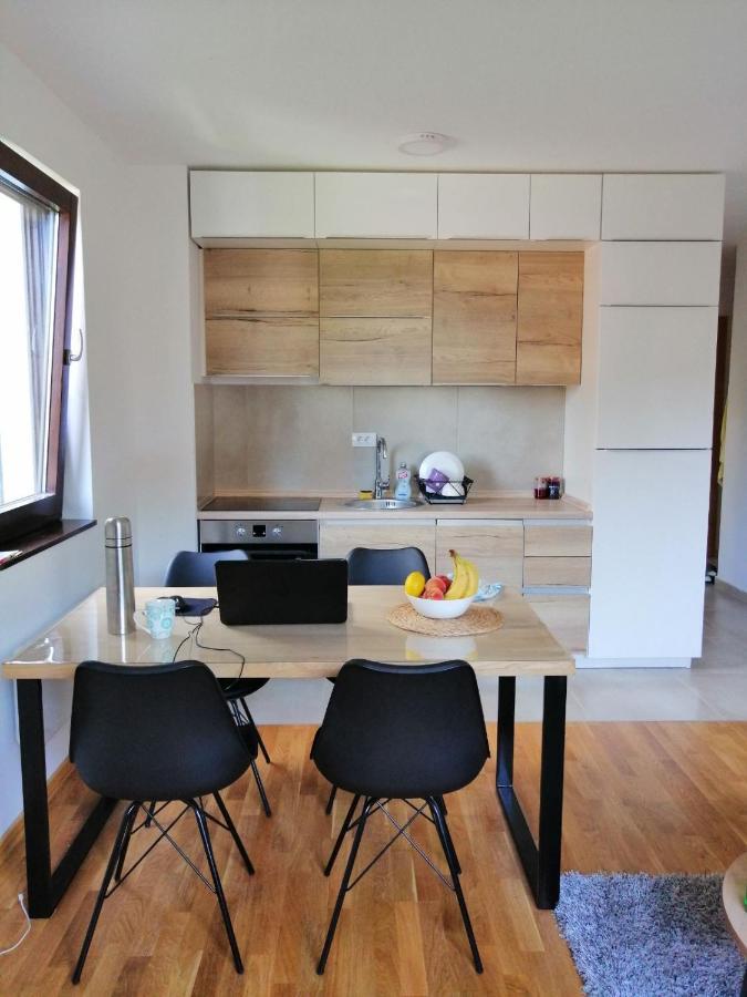 Vila Irina Kopaonik - Apartman Jovana Exterior photo